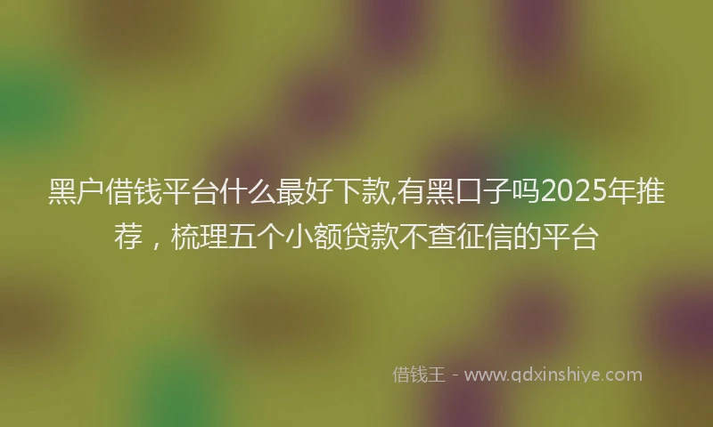 黑户借钱平台什么最好下款,有黑口子吗2025年推荐，梳理五个小额贷款不查征信的平台