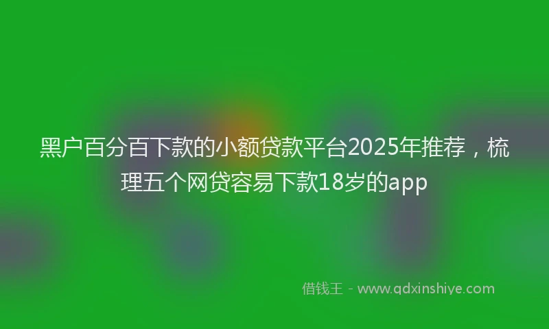 黑户百分百下款的小额贷款平台2025年推荐，梳理五个网贷容易下款18岁的app