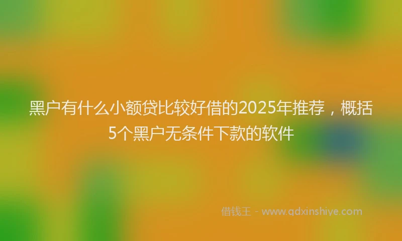 黑户有什么小额贷比较好借的2025年推荐，概括5个黑户无条件下款的软件