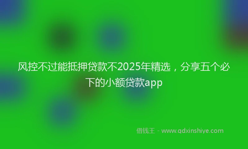 风控不过能抵押贷款不2025年精选，分享五个必下的小额贷款app
