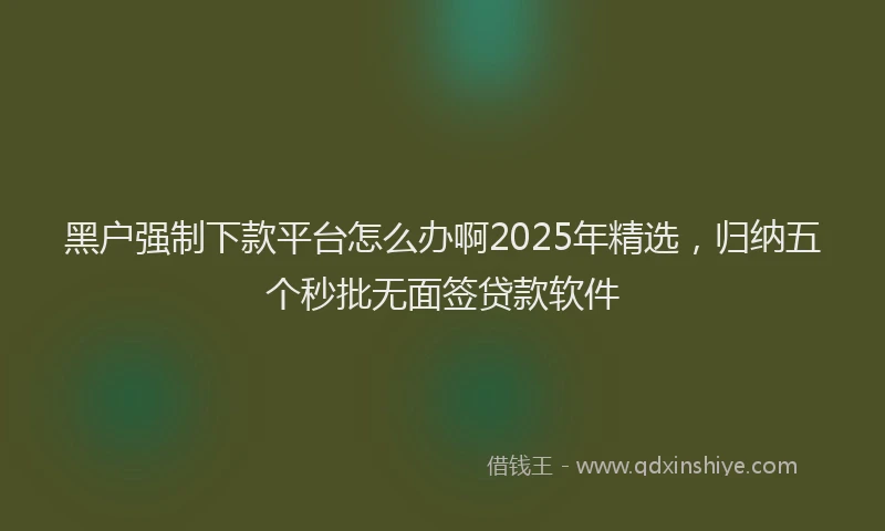 黑户强制下款平台怎么办啊2025年精选，归纳五个秒批无面签贷款软件