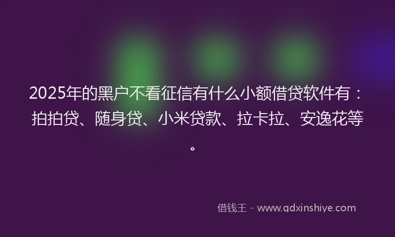 2025年的黑户不看征信有什么小额借贷软件有：拍拍贷、随身贷、小米贷款、拉卡拉、安逸花等。