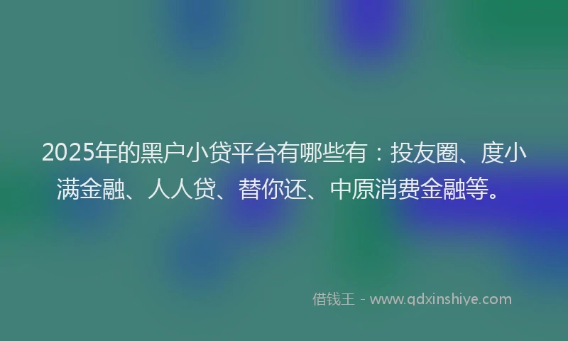 2025年的黑户小贷平台有哪些有：投友圈、度小满金融、人人贷、替你还、中原消费金融等。