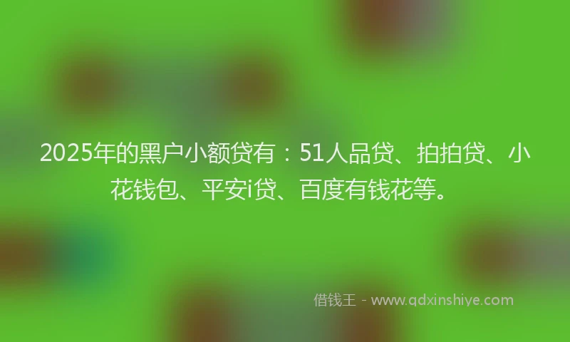 2025年的黑户小额贷有：51人品贷、拍拍贷、小花钱包、平安i贷、百度有钱花等。