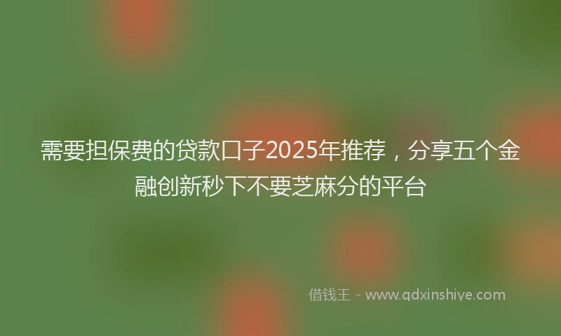 需要担保费的贷款口子2025年推荐，分享五个金融创新秒下不要芝麻分的平台