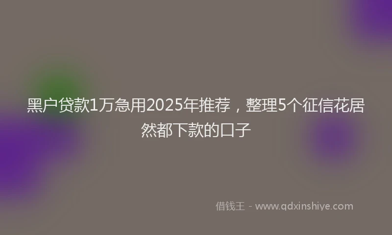 黑户贷款1万急用2025年推荐，整理5个征信花居然都下款的口子