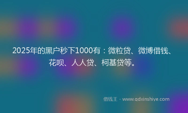 2025年的黑户秒下1000有：微粒贷、微博借钱、花呗、人人贷、柯基贷等。