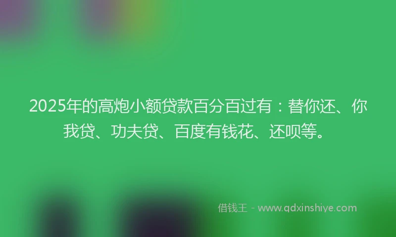 2025年的高炮小额贷款百分百过有：替你还、你我贷、功夫贷、百度有钱花、还呗等。