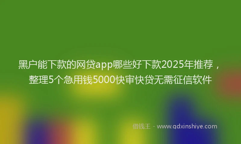 黑户能下款的网贷app哪些好下款2025年推荐，整理5个急用钱5000快审快贷无需征信软件