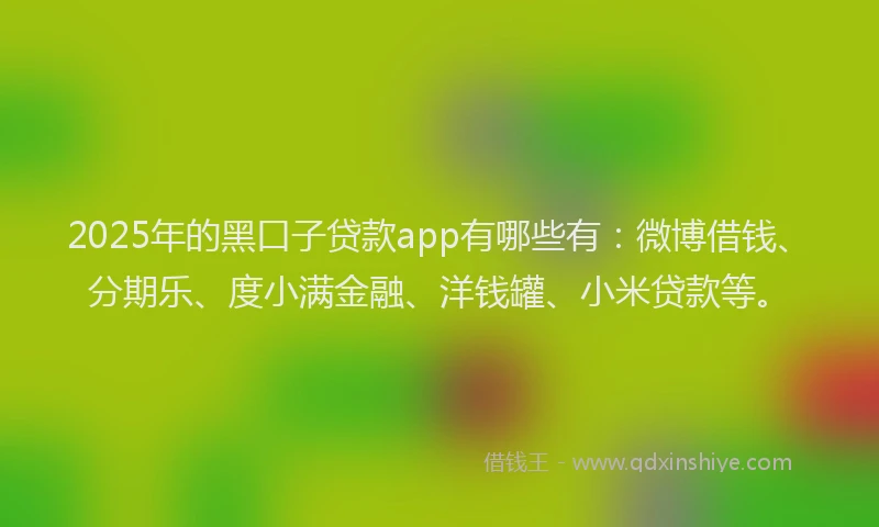 2025年的黑口子贷款app有哪些有：微博借钱、分期乐、度小满金融、洋钱罐、小米贷款等。