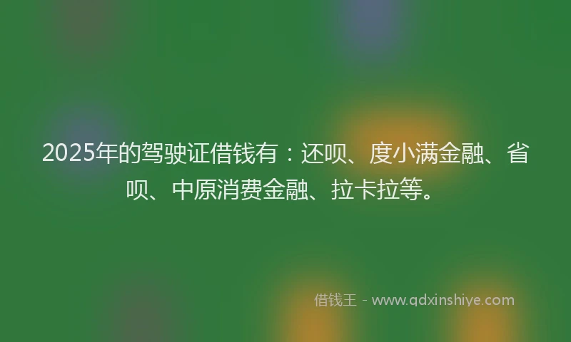 2025年的驾驶证借钱有：还呗、度小满金融、省呗、中原消费金融、拉卡拉等。