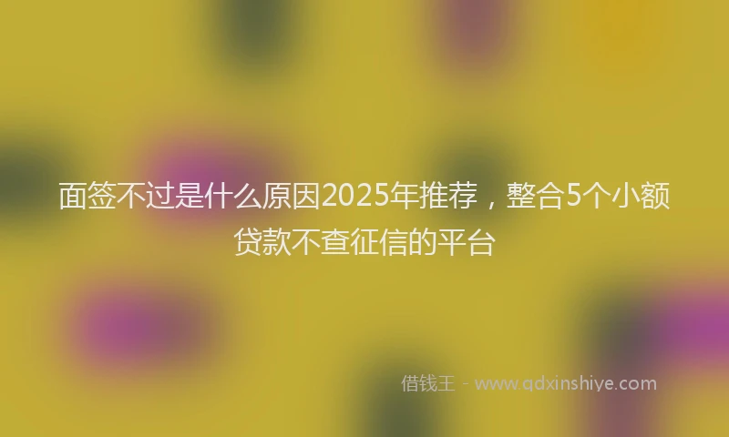 面签不过是什么原因2025年推荐，整合5个小额贷款不查征信的平台