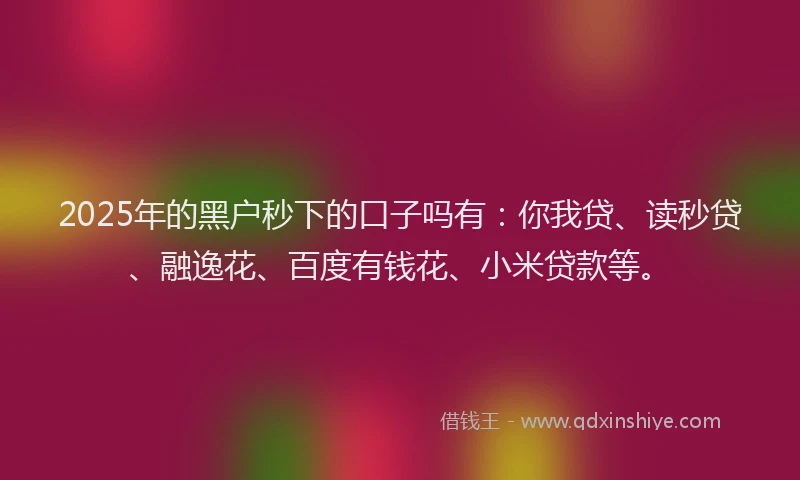 2025年的黑户秒下的口子吗有：你我贷、读秒贷、融逸花、百度有钱花、小米贷款等。