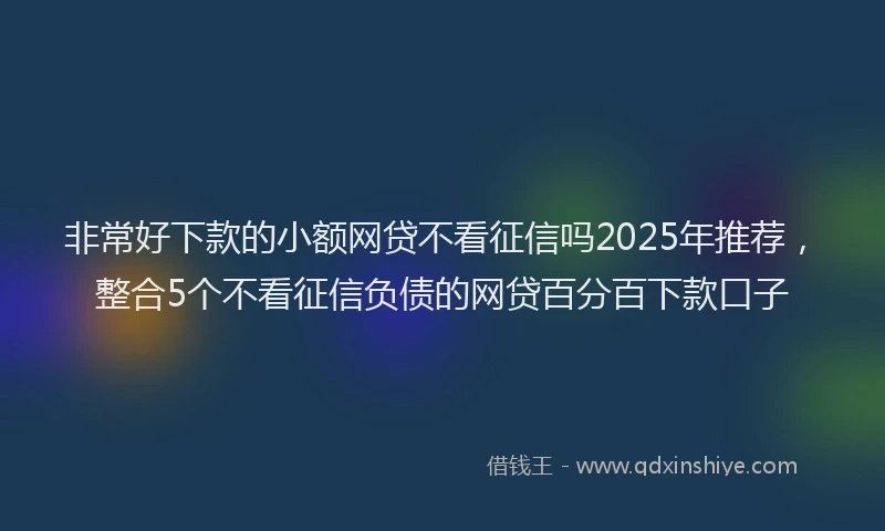 非常好下款的小额网贷不看征信吗2025年推荐，整合5个不看征信负债的网贷百分百下款口子