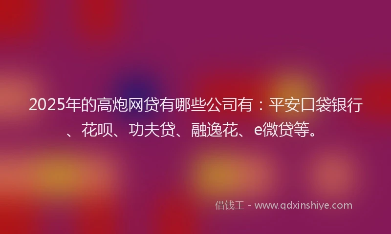 2025年的高炮网贷有哪些公司有：平安口袋银行、花呗、功夫贷、融逸花、e微贷等。