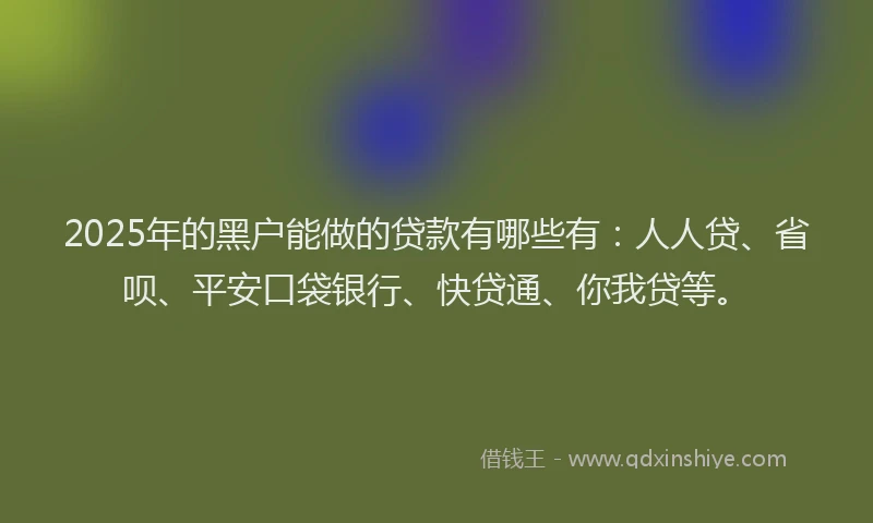 2025年的黑户能做的贷款有哪些有：人人贷、省呗、平安口袋银行、快贷通、你我贷等。