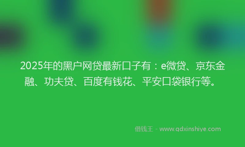 2025年的黑户网贷最新口子有：e微贷、京东金融、功夫贷、百度有钱花、平安口袋银行等。