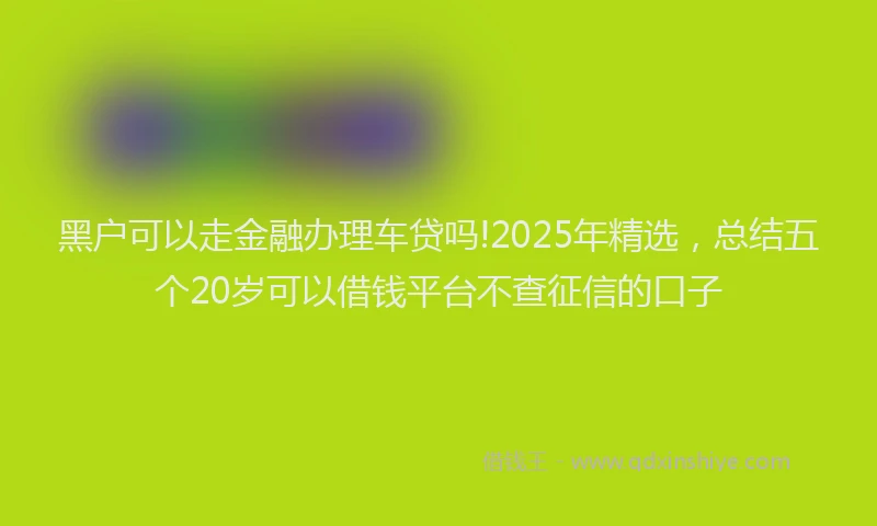 黑户可以走金融办理车贷吗!2025年精选，总结五个20岁可以借钱平台不查征信的口子