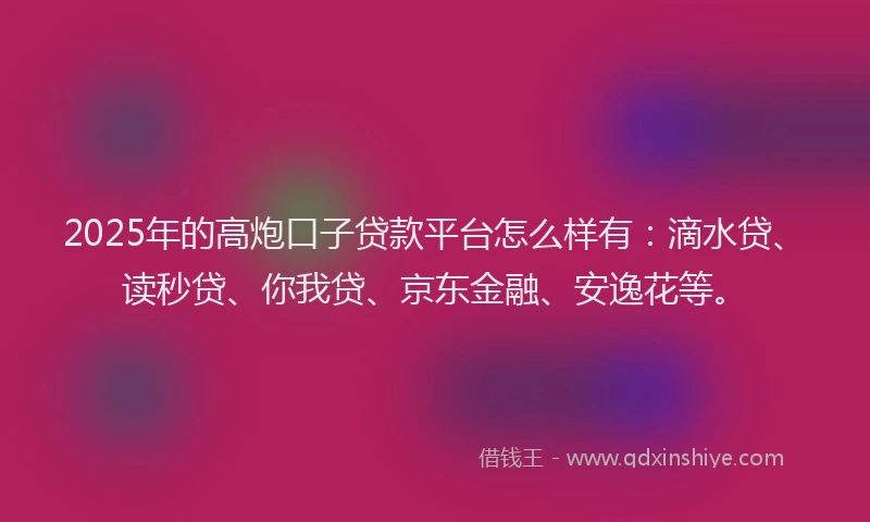 2025年的高炮口子贷款平台怎么样有：滴水贷、读秒贷、你我贷、京东金融、安逸花等。