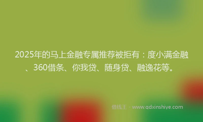 2025年的马上金融专属推荐被拒有：度小满金融、360借条、你我贷、随身贷、融逸花等。