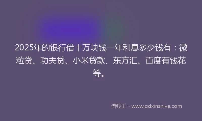 2025年的银行借十万块钱一年利息多少钱有：微粒贷、功夫贷、小米贷款、东方汇、百度有钱花等。