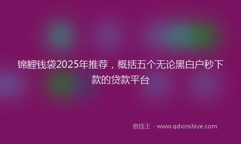 锦鲤钱袋2025年推荐，概括五个无论黑白户秒下款的贷款平台