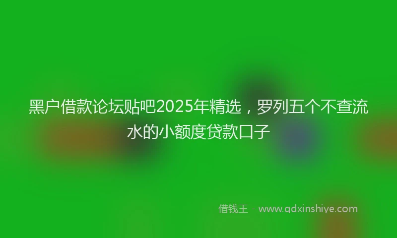 黑户借款论坛贴吧2025年精选，罗列五个不查流水的小额度贷款口子