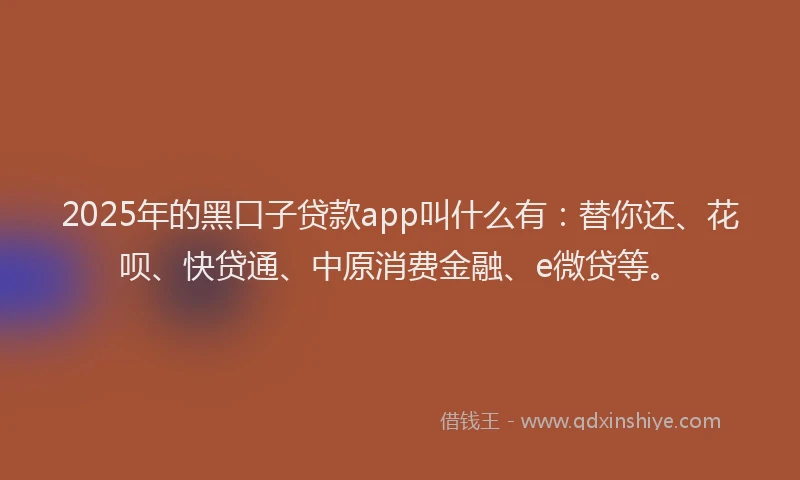 2025年的黑口子贷款app叫什么有：替你还、花呗、快贷通、中原消费金融、e微贷等。