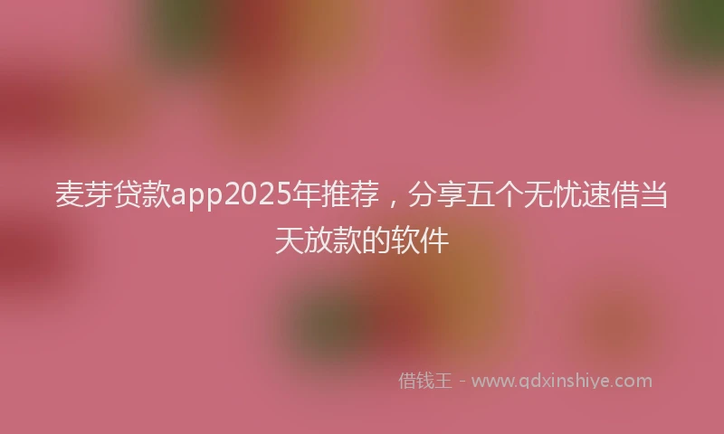 麦芽贷款app2025年推荐，分享五个无忧速借当天放款的软件