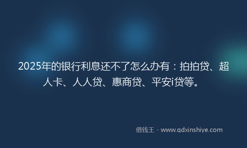 2025年的银行利息还不了怎么办有：拍拍贷、超人卡、人人贷、惠商贷、平安i贷等。