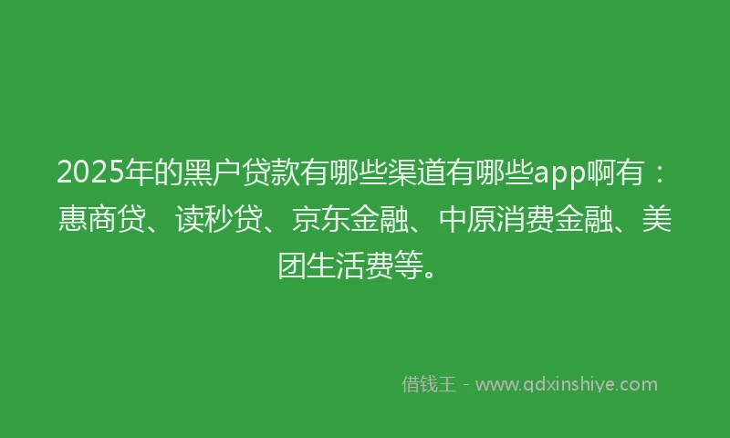 2025年的黑户贷款有哪些渠道有哪些app啊有：惠商贷、读秒贷、京东金融、中原消费金融、美团生活费等。