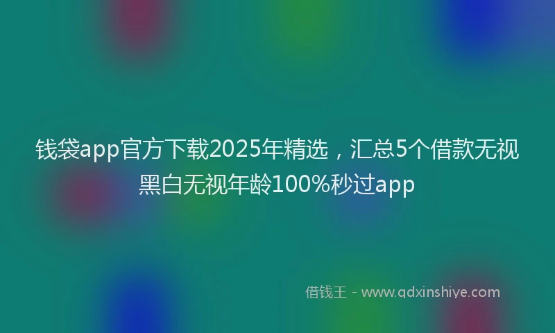 钱袋app官方下载2025年精选，汇总5个借款无视黑白无视年龄100%秒过app