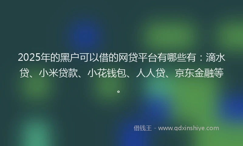 2025年的黑户可以借的网贷平台有哪些有：滴水贷、小米贷款、小花钱包、人人贷、京东金融等。