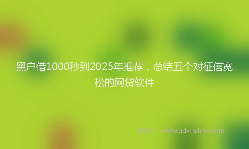 黑户借1000秒到2025年推荐，总结五个对征信宽松的网贷软件