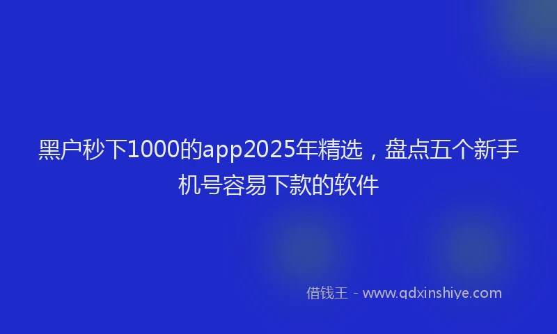 黑户秒下1000的app2025年精选，盘点五个新手机号容易下款的软件
