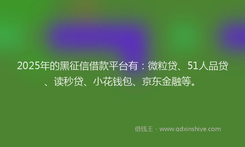 2025年的黑征信借款平台有：微粒贷、51人品贷、读秒贷、小花钱包、京东金融等。