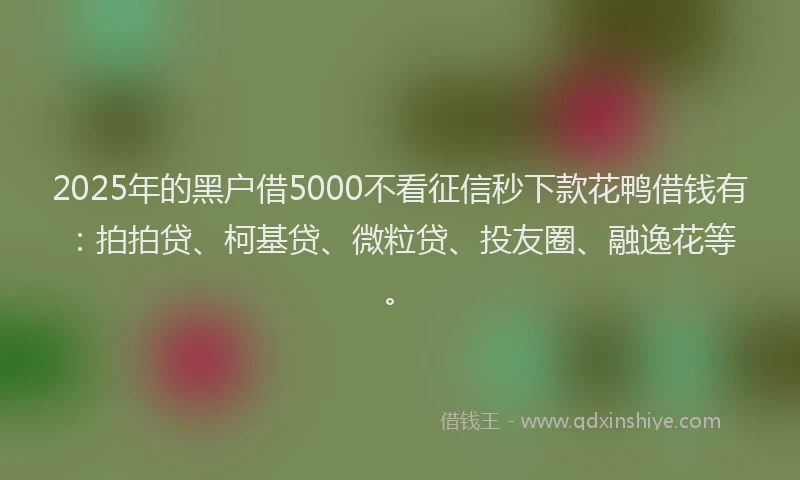 2025年的黑户借5000不看征信秒下款花鸭借钱有：拍拍贷、柯基贷、微粒贷、投友圈、融逸花等。