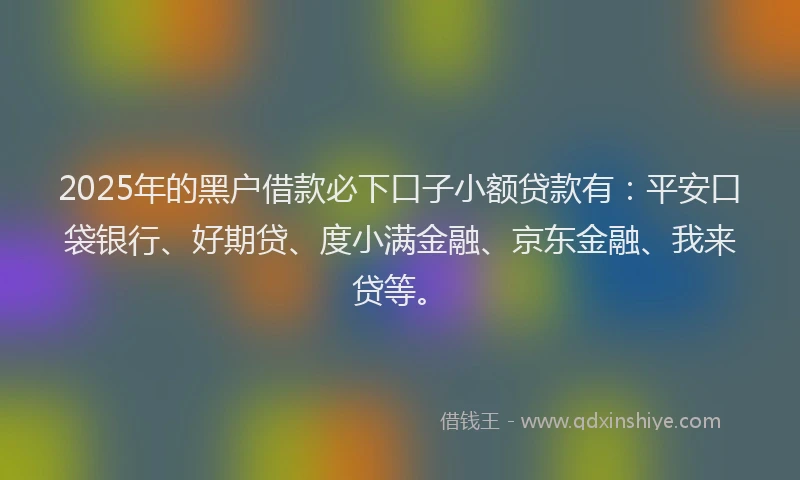 2025年的黑户借款必下口子小额贷款有：平安口袋银行、好期贷、度小满金融、京东金融、我来贷等。