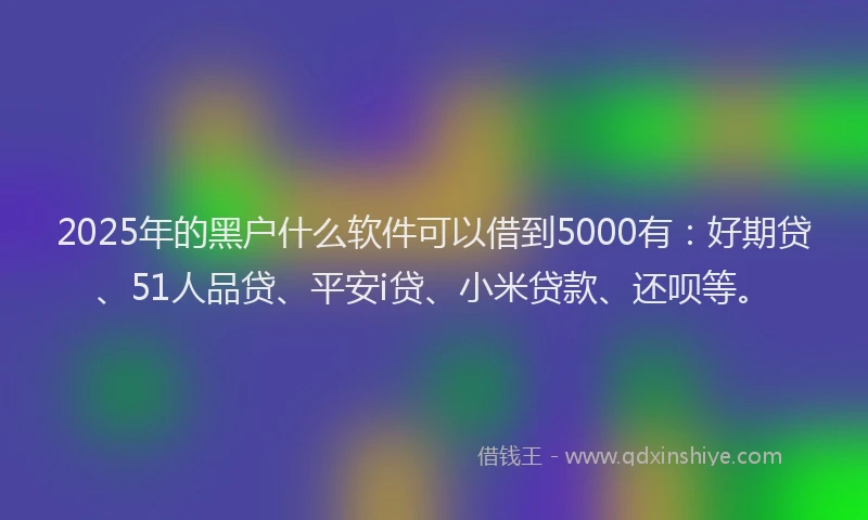 2025年的黑户什么软件可以借到5000有：好期贷、51人品贷、平安i贷、小米贷款、还呗等。