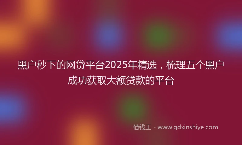 黑户秒下的网贷平台2025年精选，梳理五个黑户成功获取大额贷款的平台