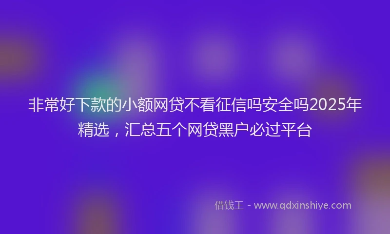 非常好下款的小额网贷不看征信吗安全吗2025年精选，汇总五个网贷黑户必过平台