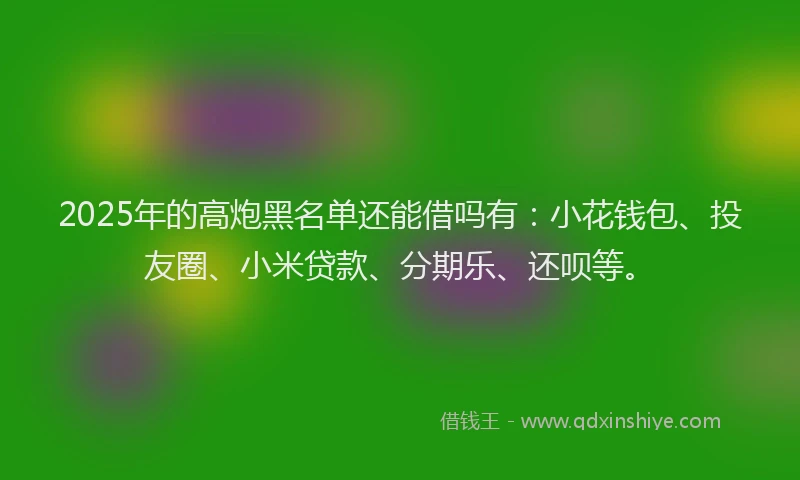 2025年的高炮黑名单还能借吗有：小花钱包、投友圈、小米贷款、分期乐、还呗等。