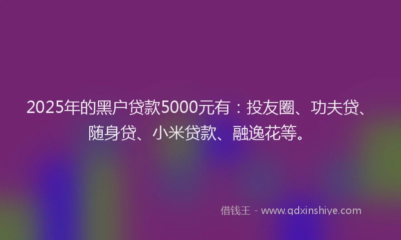 2025年的黑户贷款5000元有：投友圈、功夫贷、随身贷、小米贷款、融逸花等。