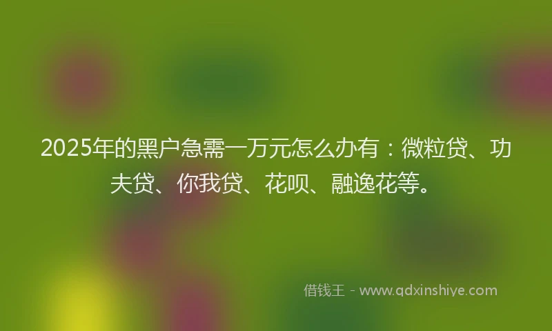 2025年的黑户急需一万元怎么办有：微粒贷、功夫贷、你我贷、花呗、融逸花等。