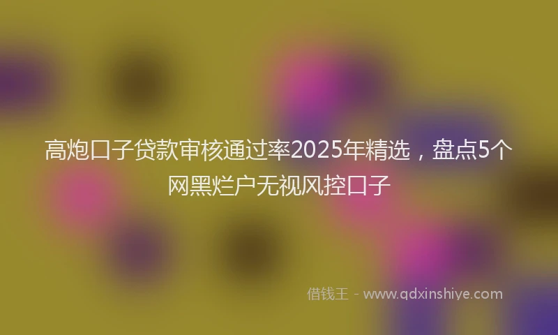 高炮口子贷款审核通过率2025年精选，盘点5个网黑烂户无视风控口子