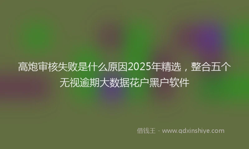 高炮审核失败是什么原因2025年精选，整合五个无视逾期大数据花户黑户软件