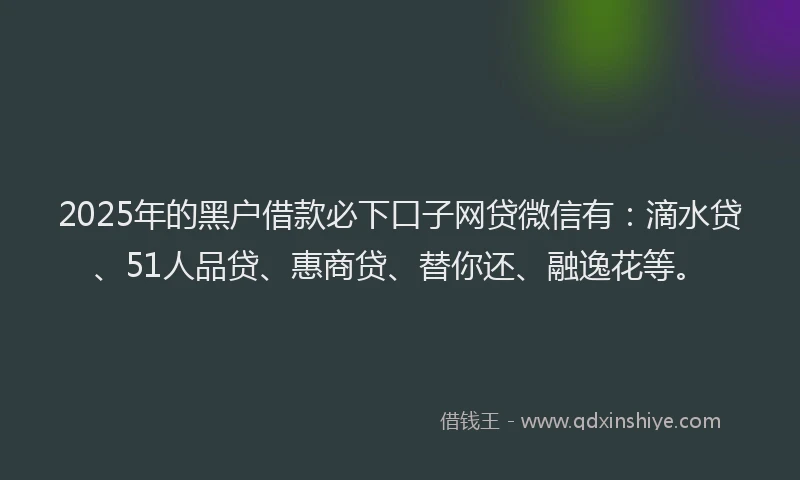2025年的黑户借款必下口子网贷微信有：滴水贷、51人品贷、惠商贷、替你还、融逸花等。