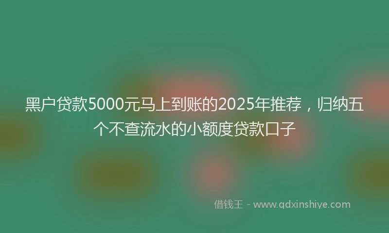 黑户贷款5000元马上到账的2025年推荐，归纳五个不查流水的小额度贷款口子