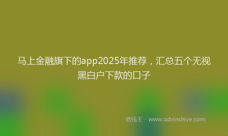 马上金融旗下的app2025年推荐，汇总五个无视黑白户下款的口子