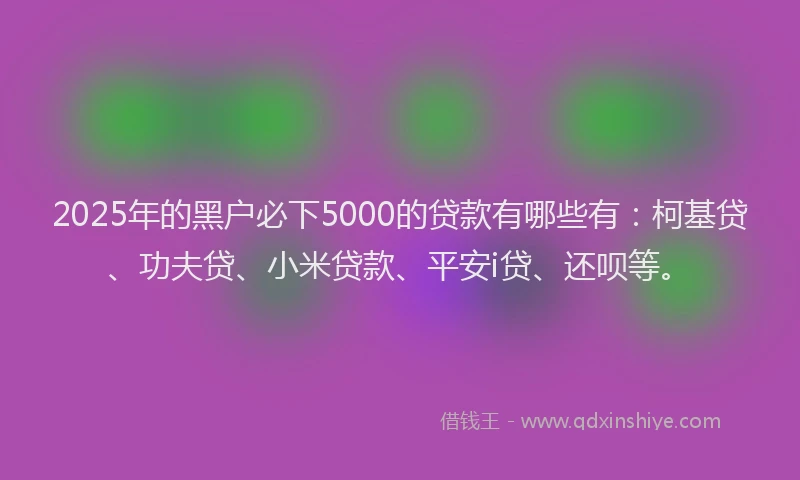 2025年的黑户必下5000的贷款有哪些有：柯基贷、功夫贷、小米贷款、平安i贷、还呗等。